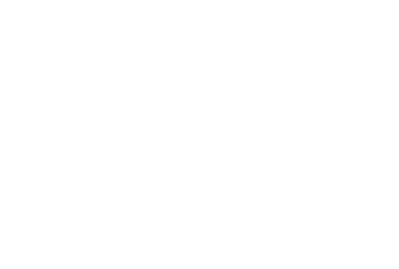 Ambassador Permits Solution Logo